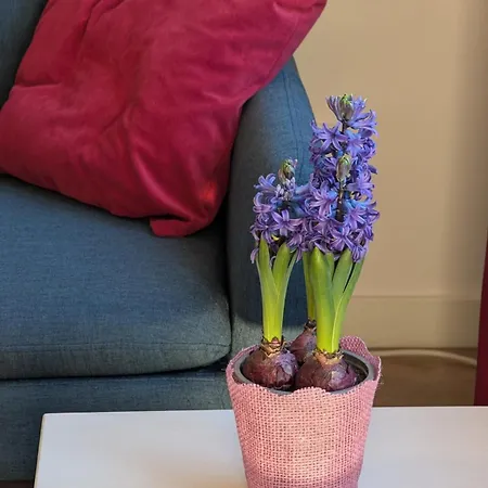 Διαμέρισμα Komfortowy We Wroclawiu