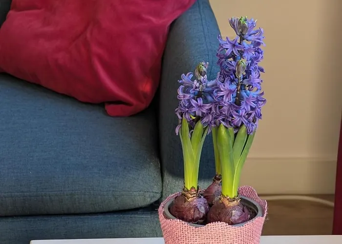 Appartement Komfortowy We Wroclawiu